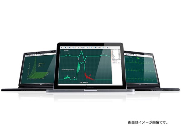 画像1: ＶＬＰ（心室遅延電位ソフト） (1)